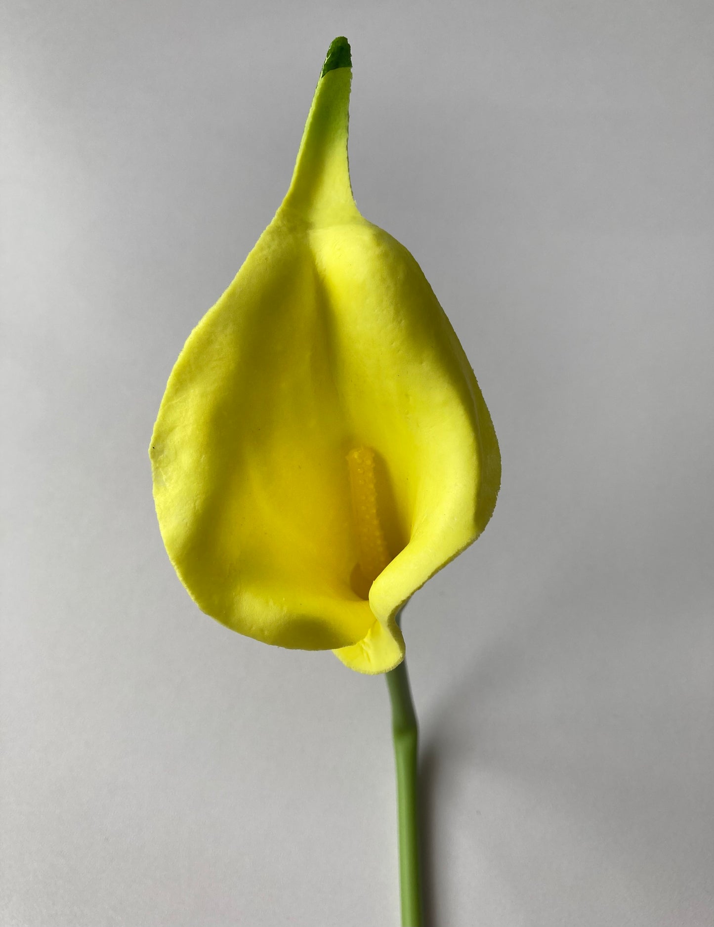 10 Real Touch Calla Lily