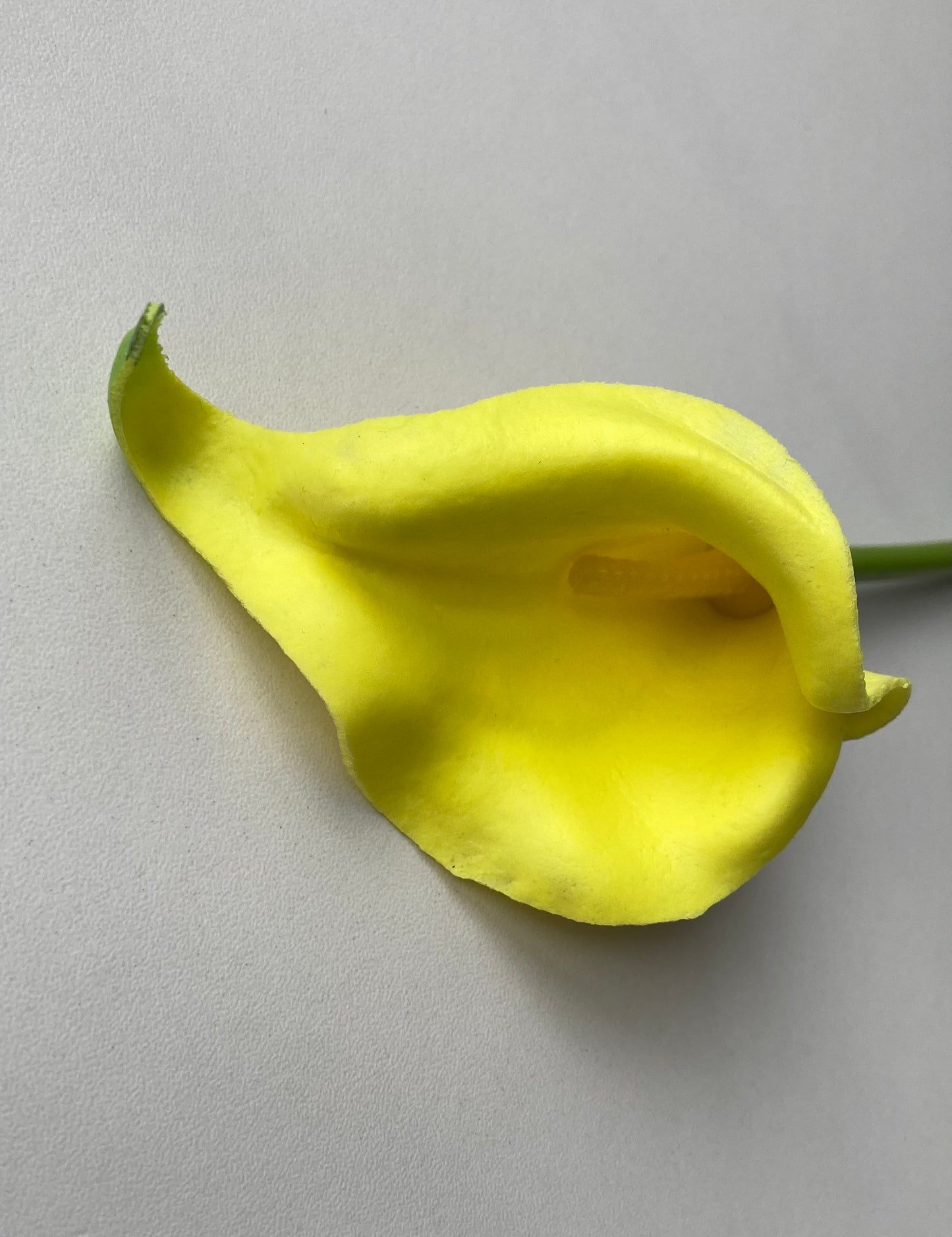10 Real Touch Calla Lily