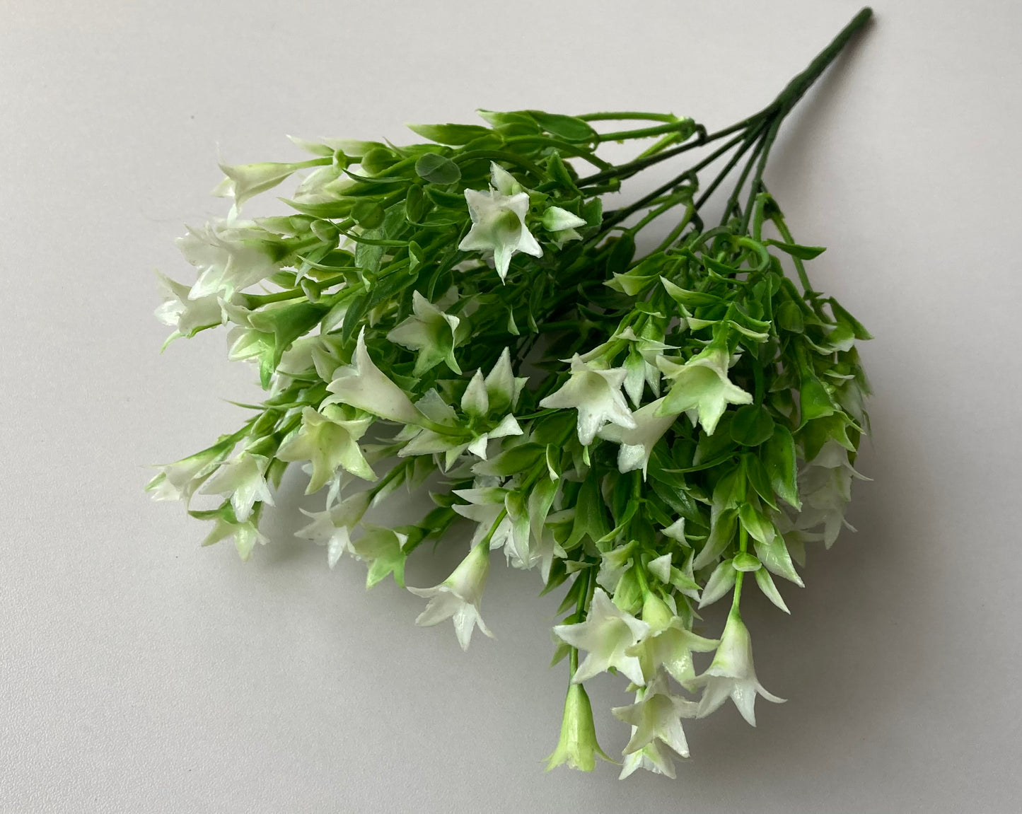 White Wild Lily Flower Foliage