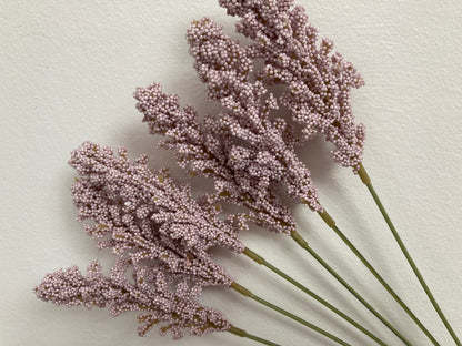 Lilac Seeded Astilbe