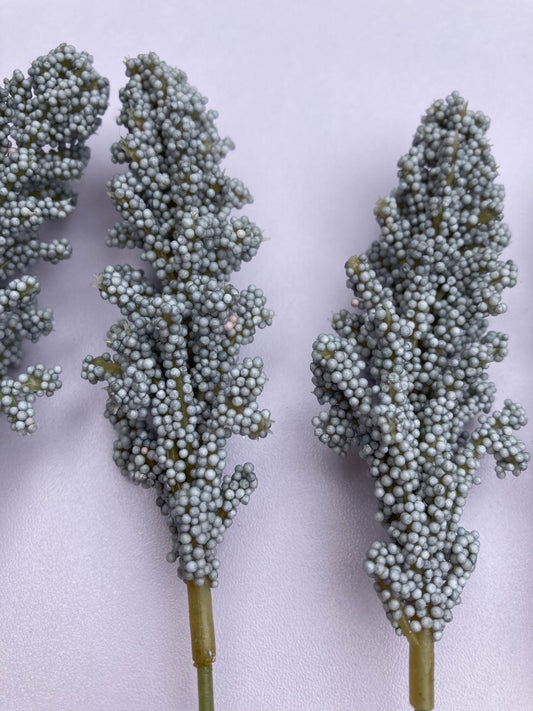 Seeded Grey Astilbe