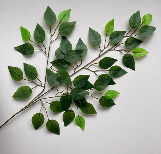 Mixed Green Ficus Leaves Spray