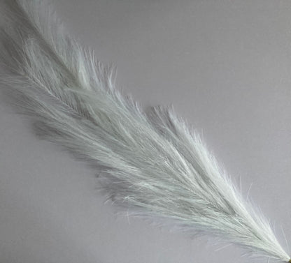 White Long Pampas