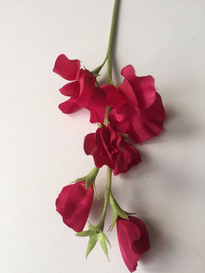 Pink Sweet Pea Stem
