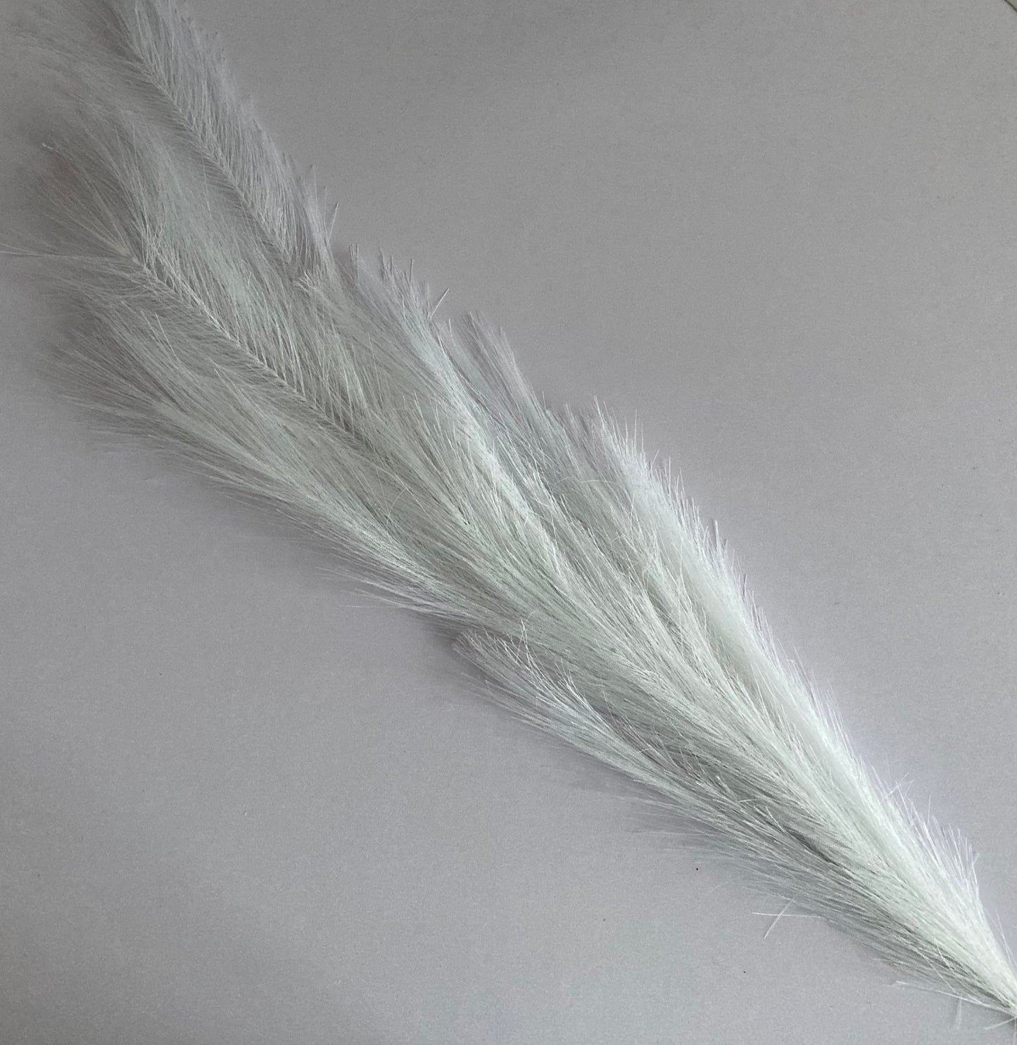 White Long Pampas