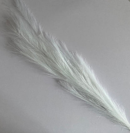 White Long Pampas