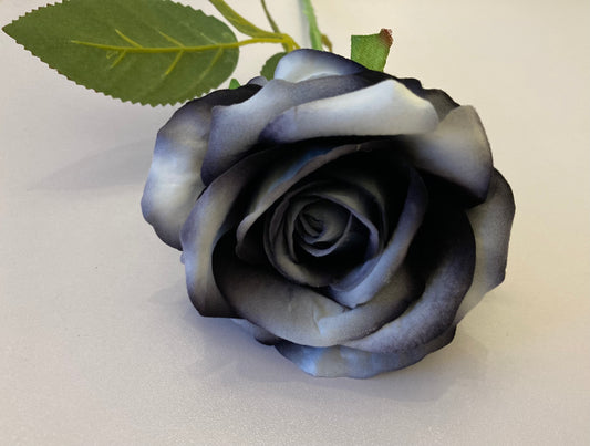 Black & Grey Velvet Rose