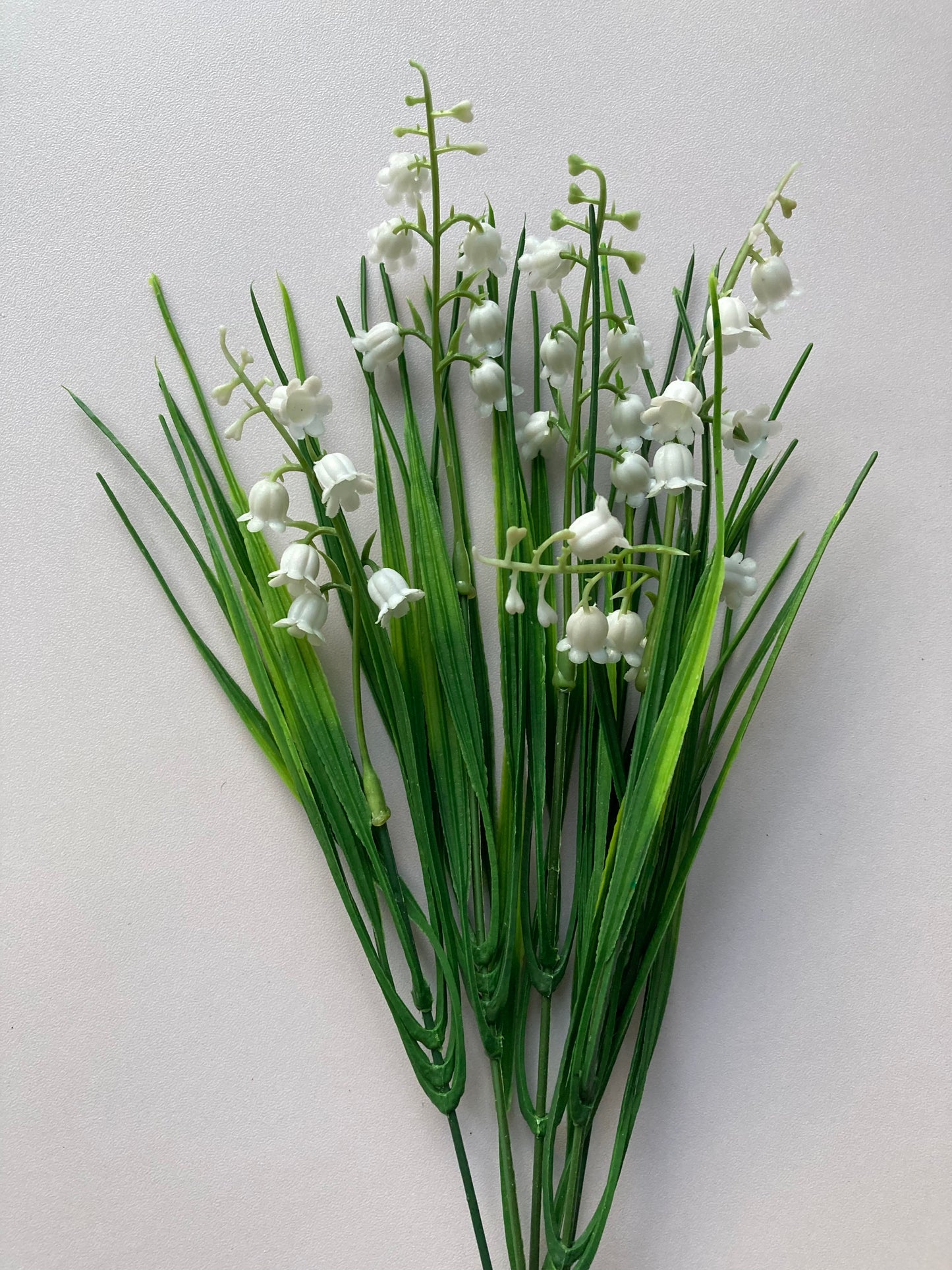 White Bluebell Bunch