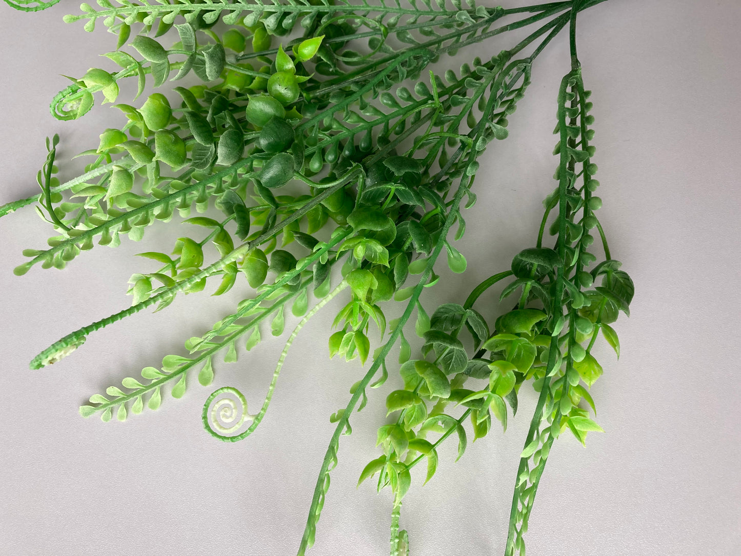 Mixed Leaf Foliage Bush
