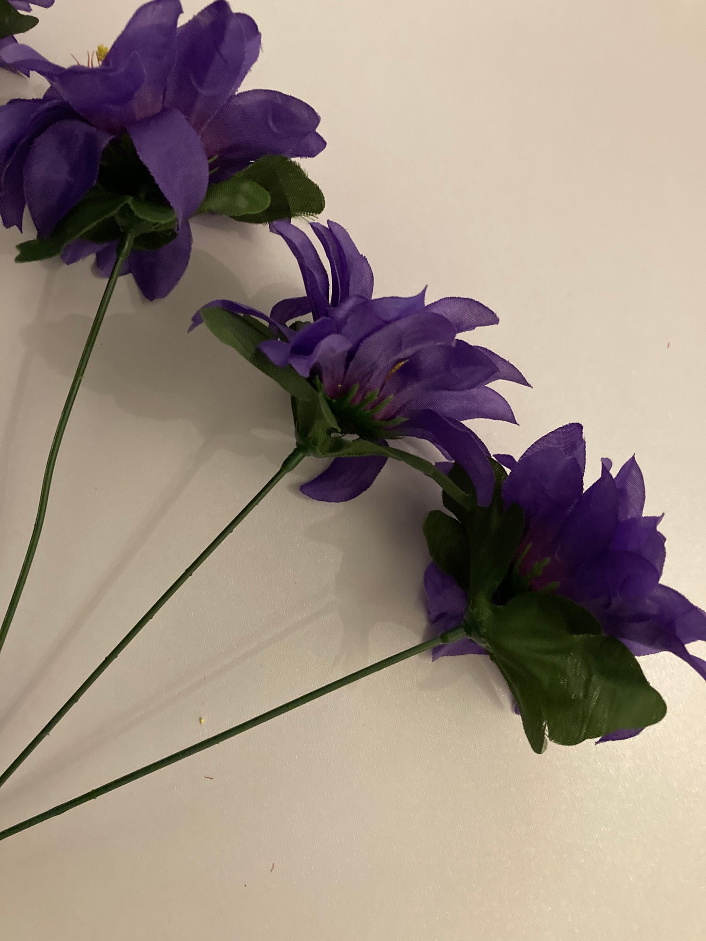 Purple Zinnia Bunch