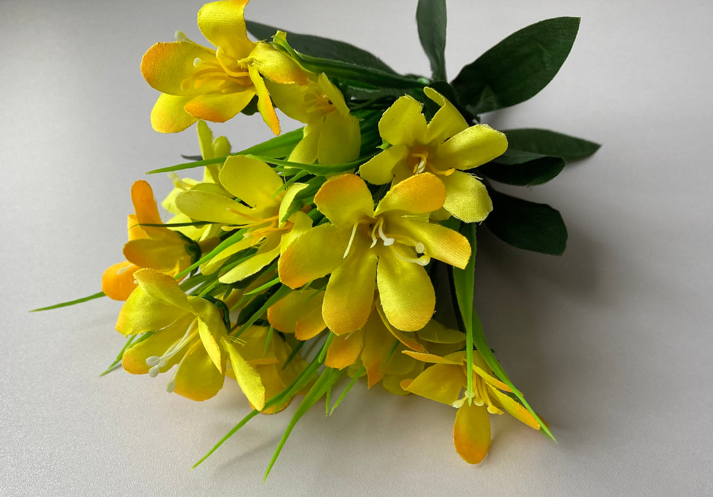 Yellow Wild Flower Bush