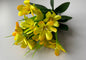 Yellow Wild Flower Bush