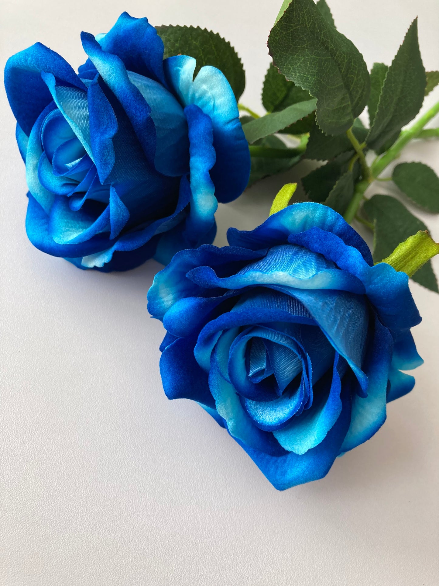 Mixed Blue Velvet Touch Rose