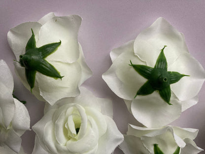 12 Ivory Rose Heads