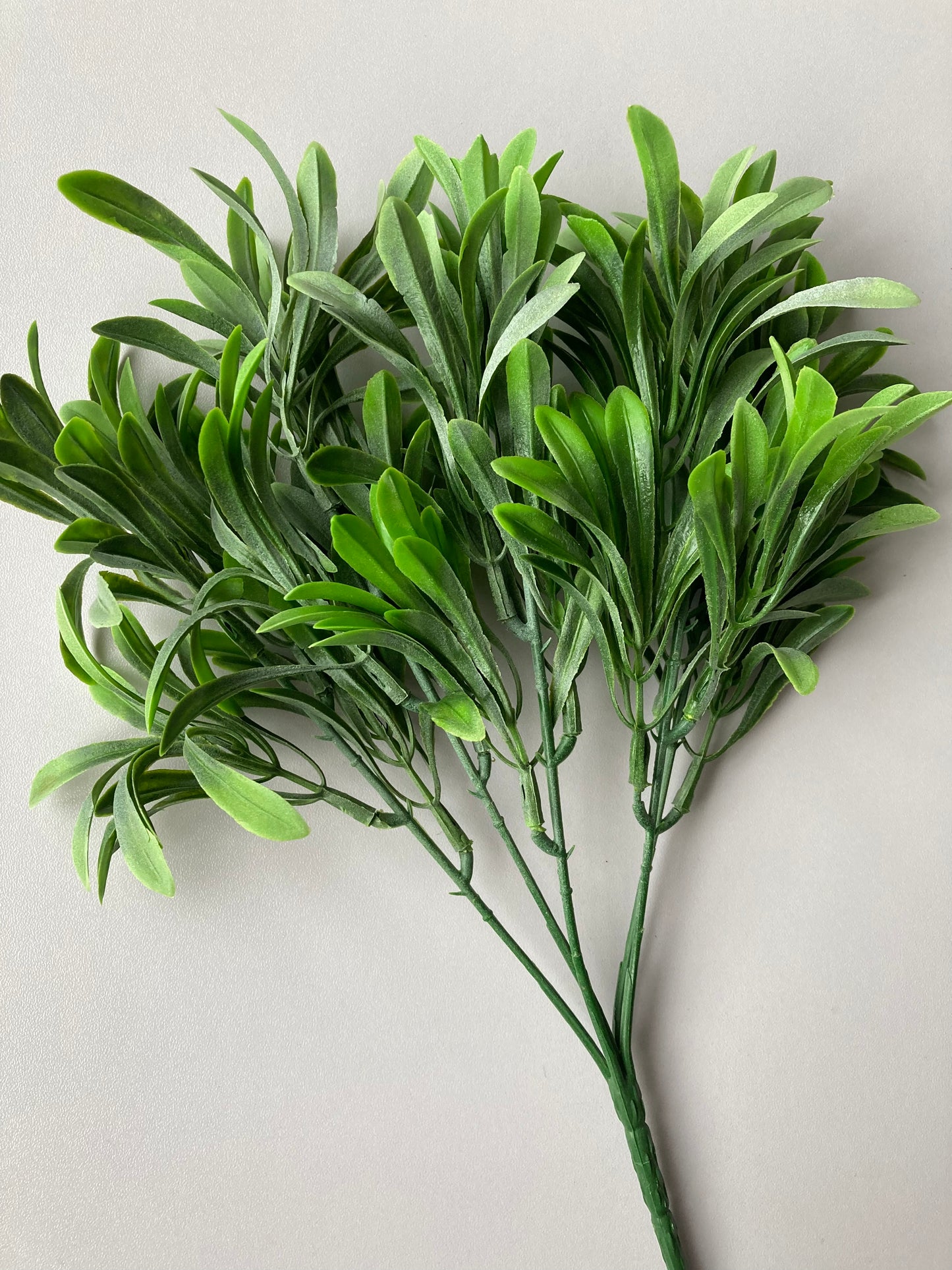 Leafy Greenery Foliage