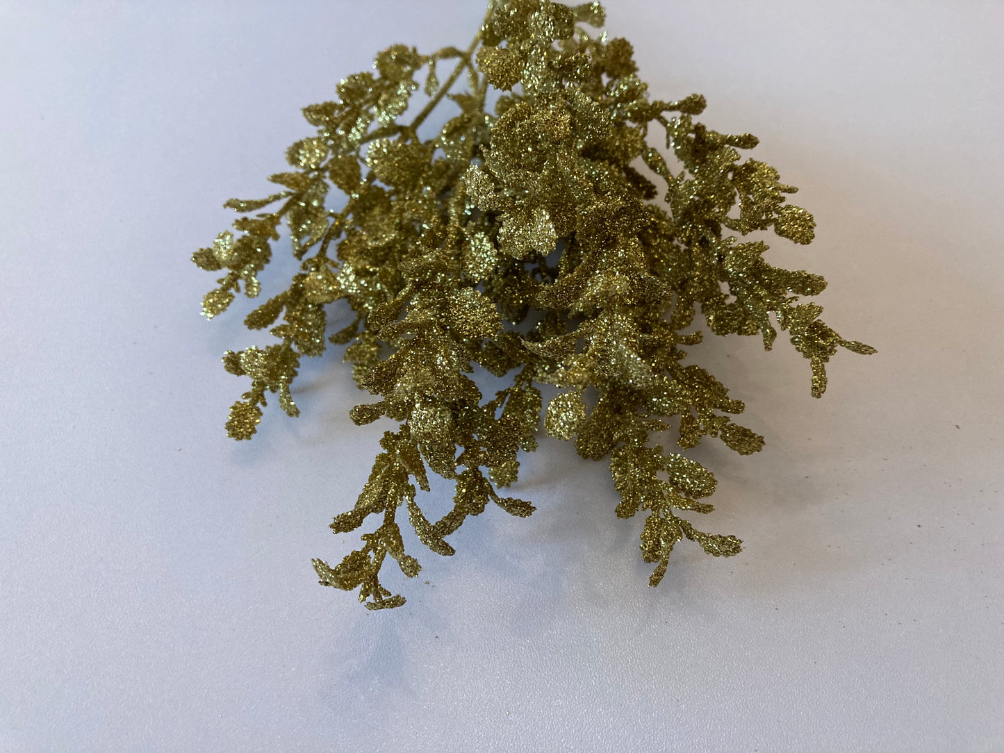 Gold Eucalyptus