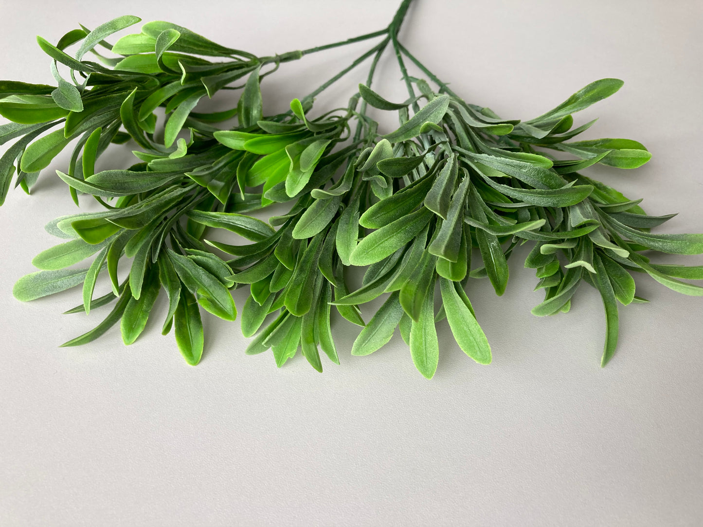 Leafy Greenery Foliage