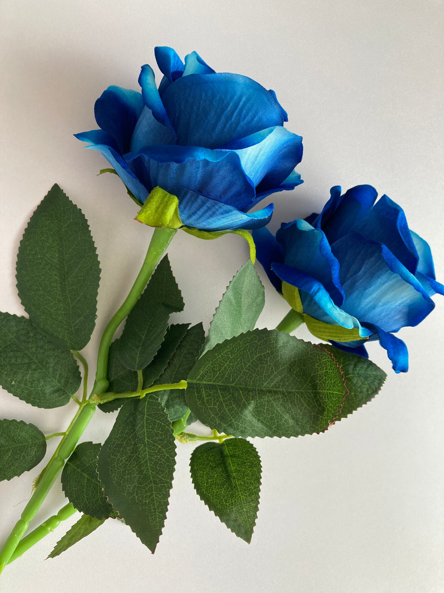Mixed Blue Velvet Touch Rose