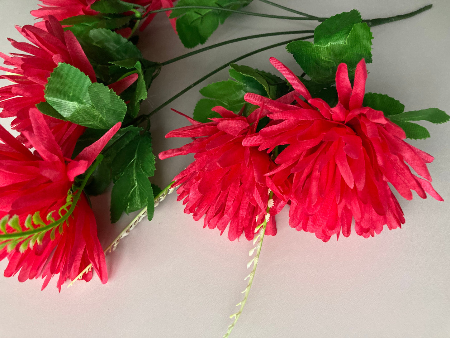 Hot Pink Spiky Chrysanthemums