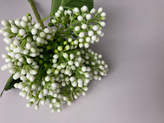 White Cluster Berries