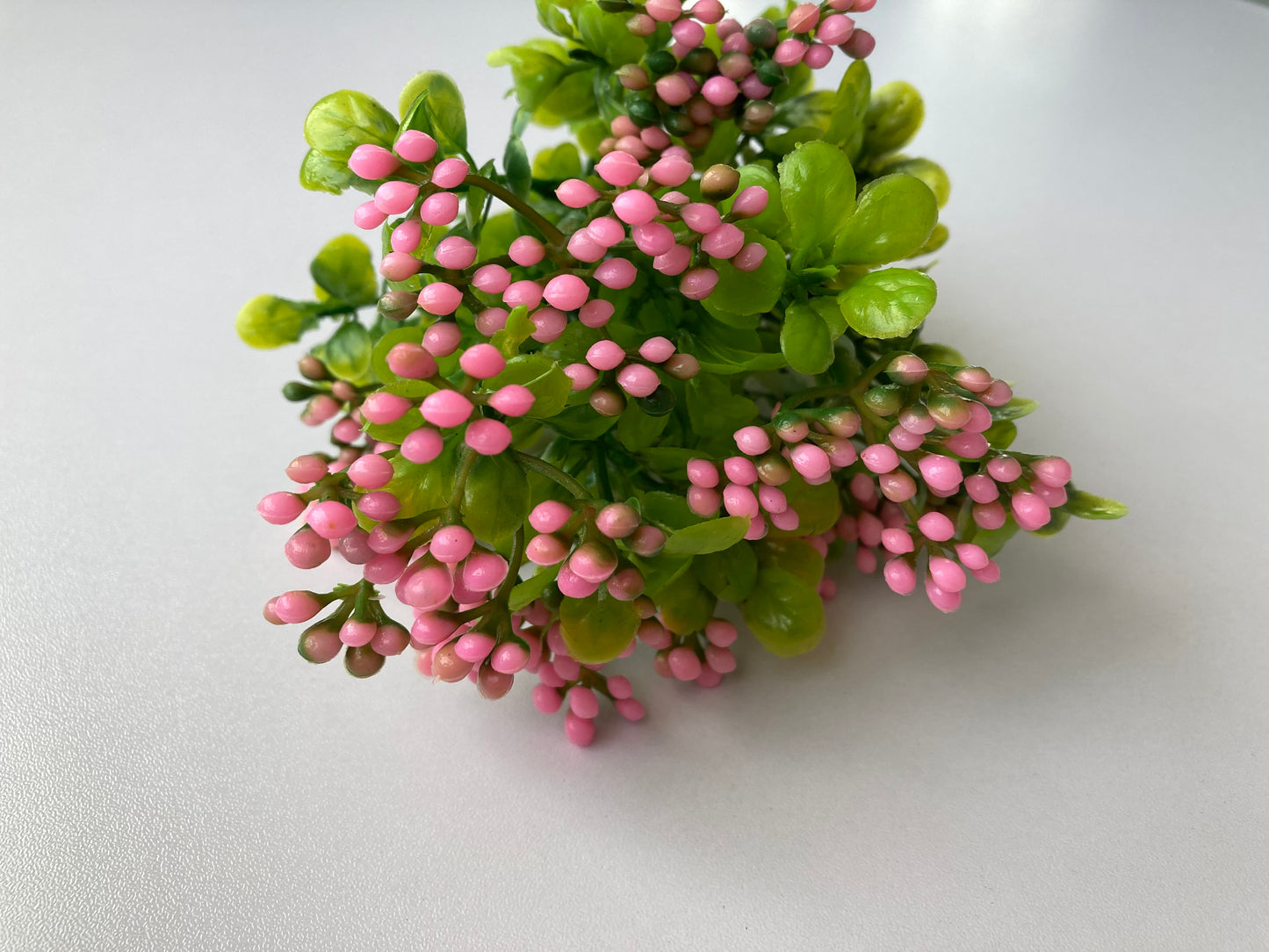 Pink Berry & Foliage
